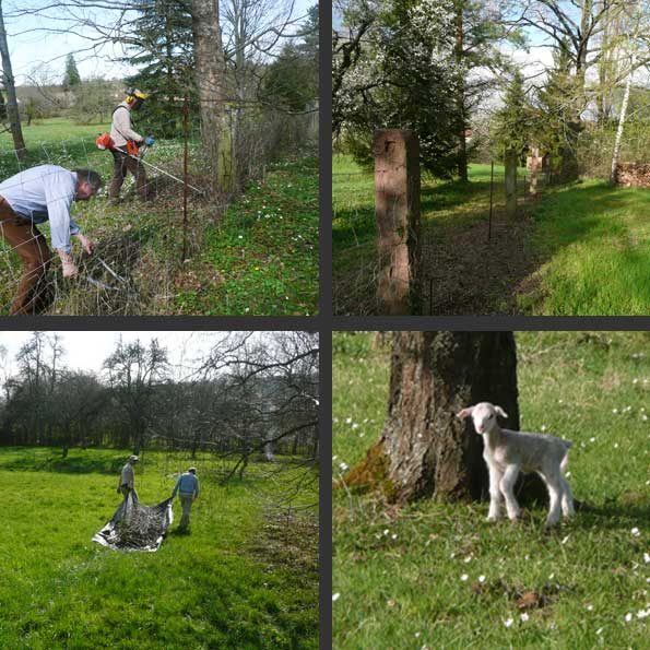 Enfin le printemps !