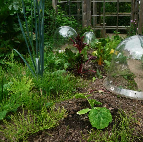Sous cloches