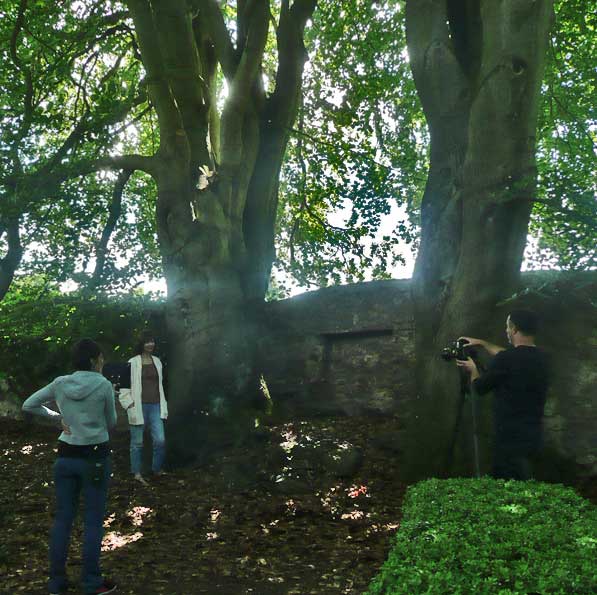 Un photographe averti vint sur le terrain