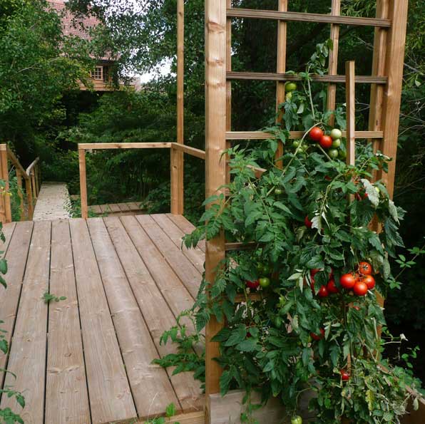Un jardin d'amour fut peu apr&egrave;s am&eacute;nag&eacute; pr&egrave;s de cat enclos
