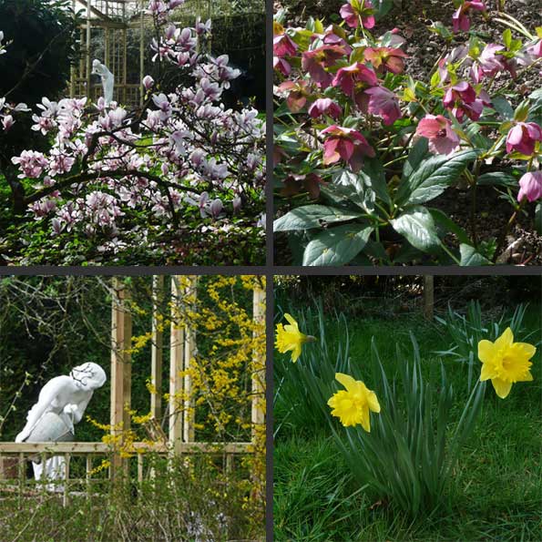 Le printemps rose et jaune