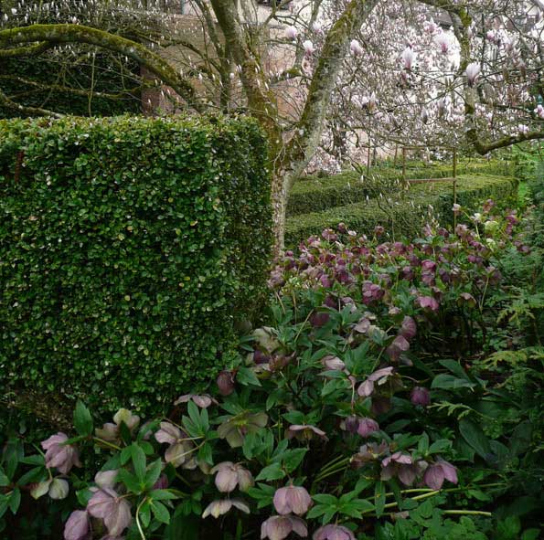 Le recueillement des fleurs